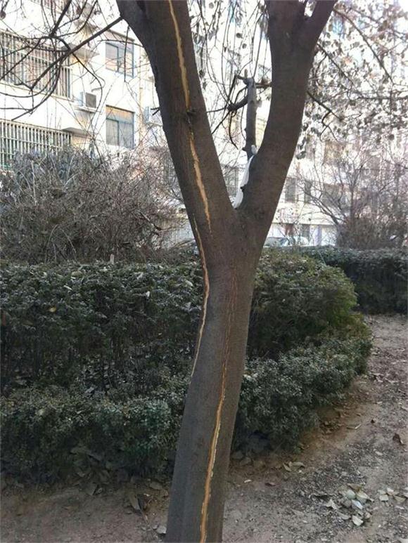 ������⺮��   Ůؑ�����_����